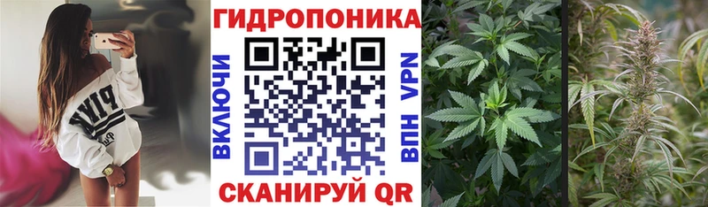 Канабис планчик Балашиха